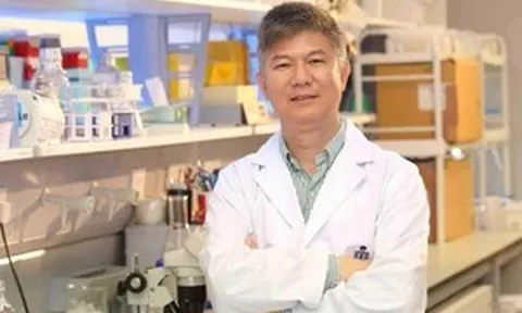 Hồng Kông truy tố cựu giáo sư nhận hối lộ