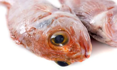 2 loại cá chứa nhiều thủy ngân, loại số 1 dù thích đến mấy cũng "giữ mồm giữ miệng"