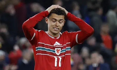 Hai đội tuyển tan mộng World Cup cay đắng