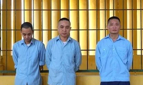 Triệt phá đường dây môi giới bán nội tạng giao dịch 1 tỷ đồng/lá gan