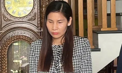 Khởi tố nữ giám đốc “vẽ” hàng loạt hóa đơn khống, hợp thức hóa xuất khẩu sang Trung Quốc