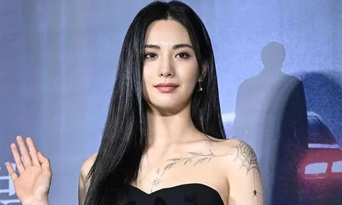 Nana sẽ ra tòa làm chứng vụ bị trộm đột nhập nhà riêng