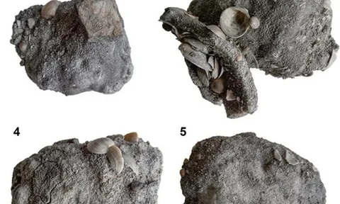 Israel: 'Kho báu' sắt 2.600 năm tuổi trong xác tàu đắm dưới đáy biển Carmel