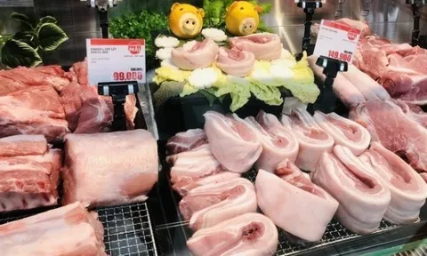 Giá heo hơi hôm nay 31/3: Ba miền đều lao dốc, miền Trung - Tây Nguyên giảm mạnh nhất