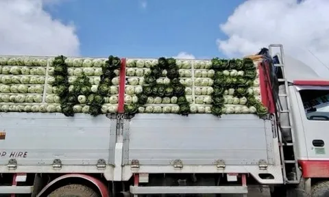 Nông dân Philippines 'khóc ròng' vì giá nhiên liệu tăng phi mã