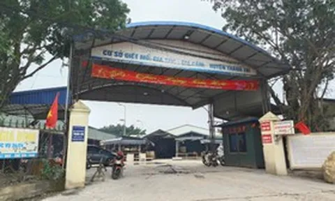 Đường dây “thịt lợn bẩn” 300 tấn tuồn vào trường học: Trạm trưởng "bảo kê" vì lương thấp?