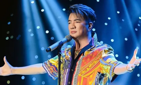 Đàm Vĩnh Hưng 'xin lỗi'