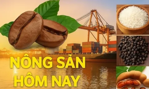 Giá nông sản hôm nay 2/4/2026: Giá cà phê phân hóa, Việt Nam tìm cách định hình giá trị robusta; Trung Quốc tính lại bài toán mua năng lượng Mỹ