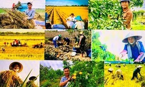 Thúc đẩy phát triển nông nghiệp, nông thôn bền vững