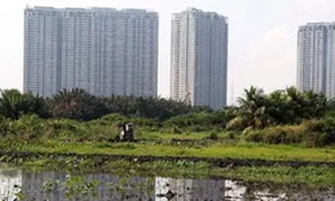 Tiền sử dụng đất được tính từ khi nào?