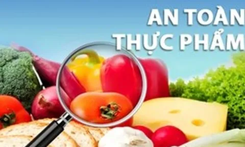 Tiếp tục áp dụng Nghị định 15/2018/NĐ-CP về an toàn thực phẩm cho đến khi có quy định mới