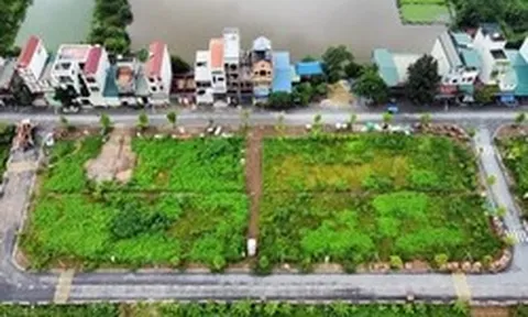 Hà Nội dự kiến đấu giá 306 dự án, khu đất để thu về 63.000 tỷ