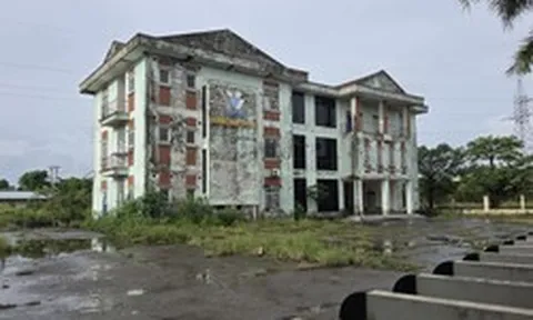 Giải pháp nào cho khu công nghiệp bị bỏ hoang 20 năm? - Bài 1: Bỏ hoang hơn 70 ha đất công nghiệp suốt hai thập kỷ