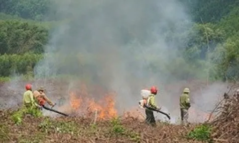 Nắng nóng gay gắt, miền Trung cấp bách phòng cháy, chữa cháy rừng