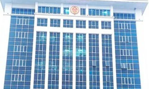 Công ty cổ phần Đô thị sinh thái Dầu khí Hòa Bình nợ thuế ‘khủng’, đứng đầu Phú Thọ