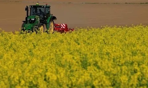 Ưu tiên các loại cây ít phụ thuộc vào phân bón, nông dân Pháp chuyển mạnh sang cải dầu và hướng dương