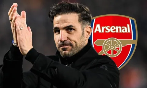 Arteta run ghế, Fabregas chờ lệnh Arsenal