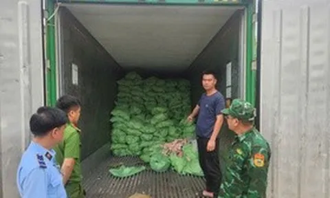 Quảng Ninh: Thu giữ hơn 25 tấn thực phẩm đông lạnh không rõ nguồn gốc
