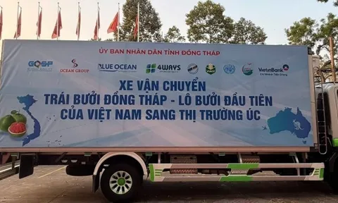 Hành trình trái bưởi của Việt Nam chinh phục thị trường Australia tiêu chuẩn cao, khắt khe