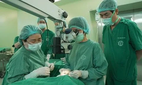 Đi sau thế giới 40 năm, ghép tạng Việt Nam bứt phá với những 'phép màu tái sinh'