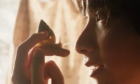 Phim Việt tranh giải tại Liên hoan phim Cannes 2026