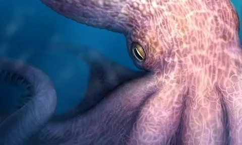 Bạch tuộc khổng lồ thời kỷ Phấn trắng dài gần 20m, có lực cắn rất mạnh