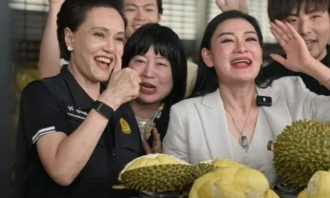 Sầu riêng Thái 'cháy hàng' trên livestream Trung Quốc