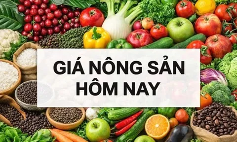 Giá nông sản hôm nay 1/5/2026: Giá cà phê mất đà, Giá tiêu tăng mạnh; Lý do Trung Quốc đơn phương miễn thuế với nhiều nước châu Phi?