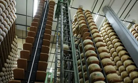 Ngân hàng phô mai của Italy: Khi Parmigiano Reggiano trở thành 'kho vàng tài chính'