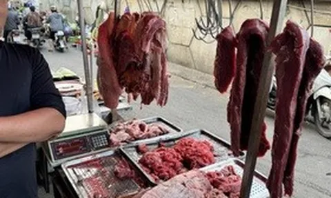 Dùng chất cấm biến thịt heo thành thịt bò, 2 đối tượng bị khởi tố