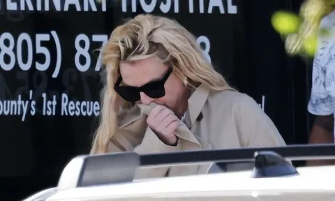 Britney Spears xuất hiện tại cửa hàng thú cưng giữa lúc vướng tin đồn mất kiểm soát