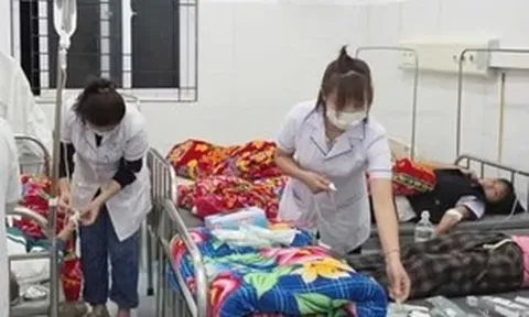Học sinh nhập viện sau khi ăn quả lạ hái ven rừng, Bộ Y tế vào cuộc