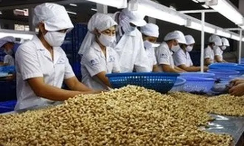 Bộ NN&MT đề xuất bãi bỏ hơn 100 văn bản không còn phù hợp
