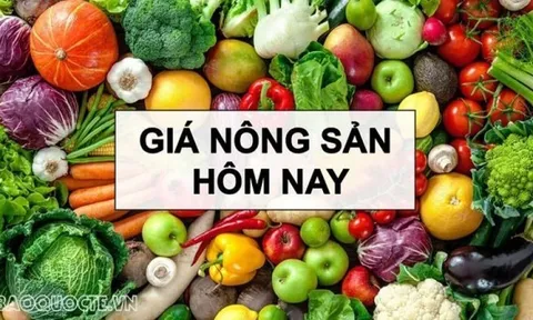 Giá nông sản hôm nay 29/5/2026: Giá cà phê tăng cao, trong nước tạm đạt điểm cân bằng, Trung Quốc 'mở rộng cửa' cho cà phê từ 53 quốc gia châu Phi