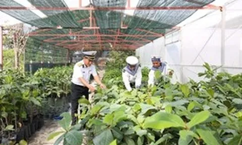 Những ‘cột mốc xanh’ ở Trường Sa