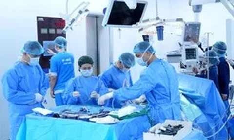 Bệnh viện Tâm Anh triển khai ghép thận công nghệ cao, hoàn thiện hệ sinh thái quản lý bệnh thận mạn