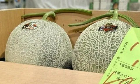 Nhật Bản: Cặp dưa lưới lập kỷ lục bán đấu giá