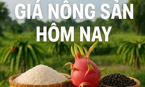 Giá nông sản hôm nay 5/6/2026: Giá cà phê xuống vùng thấp mới, Giá tiêu đồng loạt tăng; Lý do cán cân thương mại Việt Nam đảo chiều sang nhập siêu