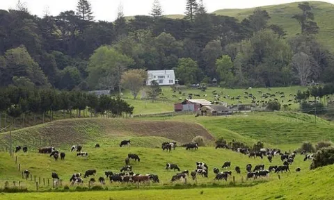New Zealand kỳ vọng xuất khẩu nông nghiệp đạt mức kỷ lục