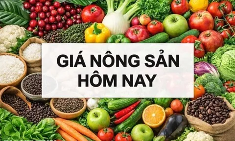 Giá nông sản hôm nay 13/6/2026: Giá cà phê robusta tăng vọt, tiếp tục kéo giá trong nước; Giá dầu lao dốc bởi kỳ vọng thỏa thuận Mỹ-Iran tăng