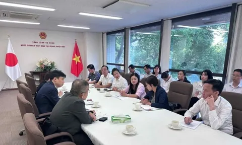 Trà Thái Nguyên tìm hướng đi mới từ kinh nghiệm phát triển ngành trà Nhật Bản