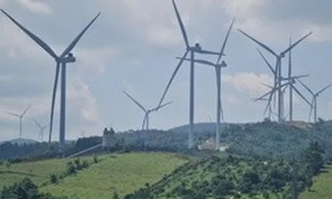 Thanh tra chỉ ra hàng loạt sai sót tại 14 dự án điện gió ở Quảng Trị