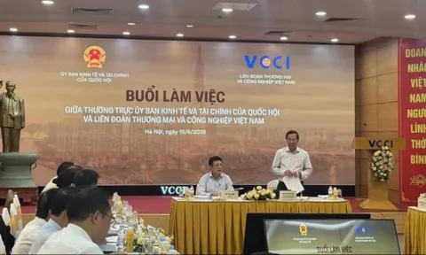 VCCI làm việc với Thường trực Ủy ban Kinh tế và Tài chính của Quốc hội: Tháo gỡ ‘áp lực kép’ cho doanh nghiệp tư nhân