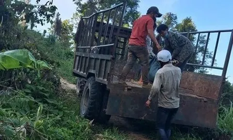 Truy bắt nghi phạm nổ súng làm một người tử vong trong rừng