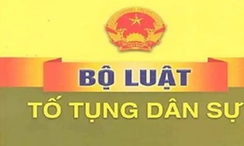 Đánh giá toàn diện kết quả thi hành Bộ luật Tố tụng dân sự