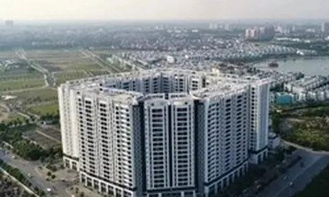 Hà Nội mở bán hàng trăm căn hộ NƠXH giá dưới 1 tỷ đồng/căn