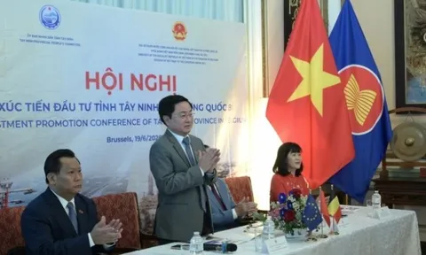 Tây Ninh thúc đẩy kết nối đầu tư với các đối tác Bỉ, đón sóng đầu tư mới từ châu Âu