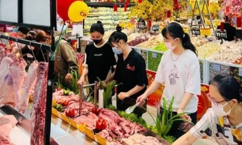 Giá heo hơi hôm nay 24/6: Miền Nam và Trung - Tây Nguyên trên đà giảm, toàn quốc dao động trong khoảng 61.000 - 68.000 đồng/kg