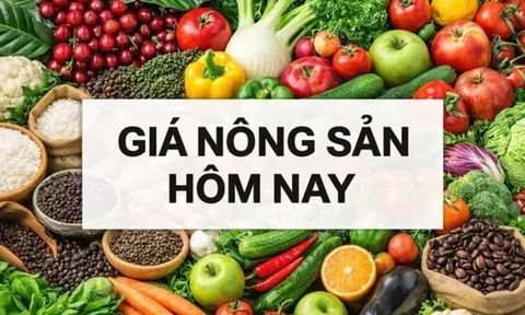 Giá nông sản hôm nay 26/6/2026: Giá cà phê trước nghịch lý được mùa vẫn 'khát hàng', giá gạo xuất khẩu tăng; Thêm một thành viên muốn rời OPEC