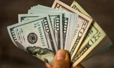 Tỷ giá ngoại tệ, tỷ giá USD/VND hôm nay 29/6: Đồng USD giữ đà tăng do giới đầu tư theo đuổi 'chủ nghĩa ngoại lệ của nước Mỹ'